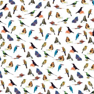 Birds and Butterflies